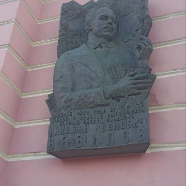 Барельеф Н.И. Вавилов