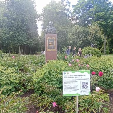 Партер «Времена года» (1750-е гг.). Цветник с бюстом Петра I (2015)