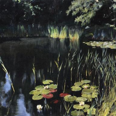 Осока и водяные лилии (1895)